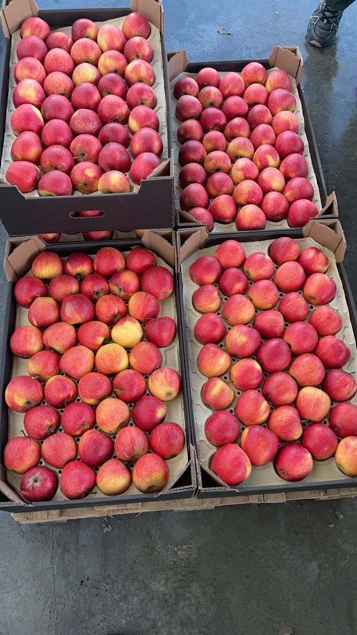 Яблоки Эвилина