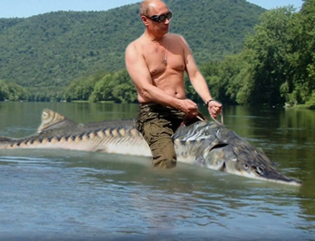 Осетр