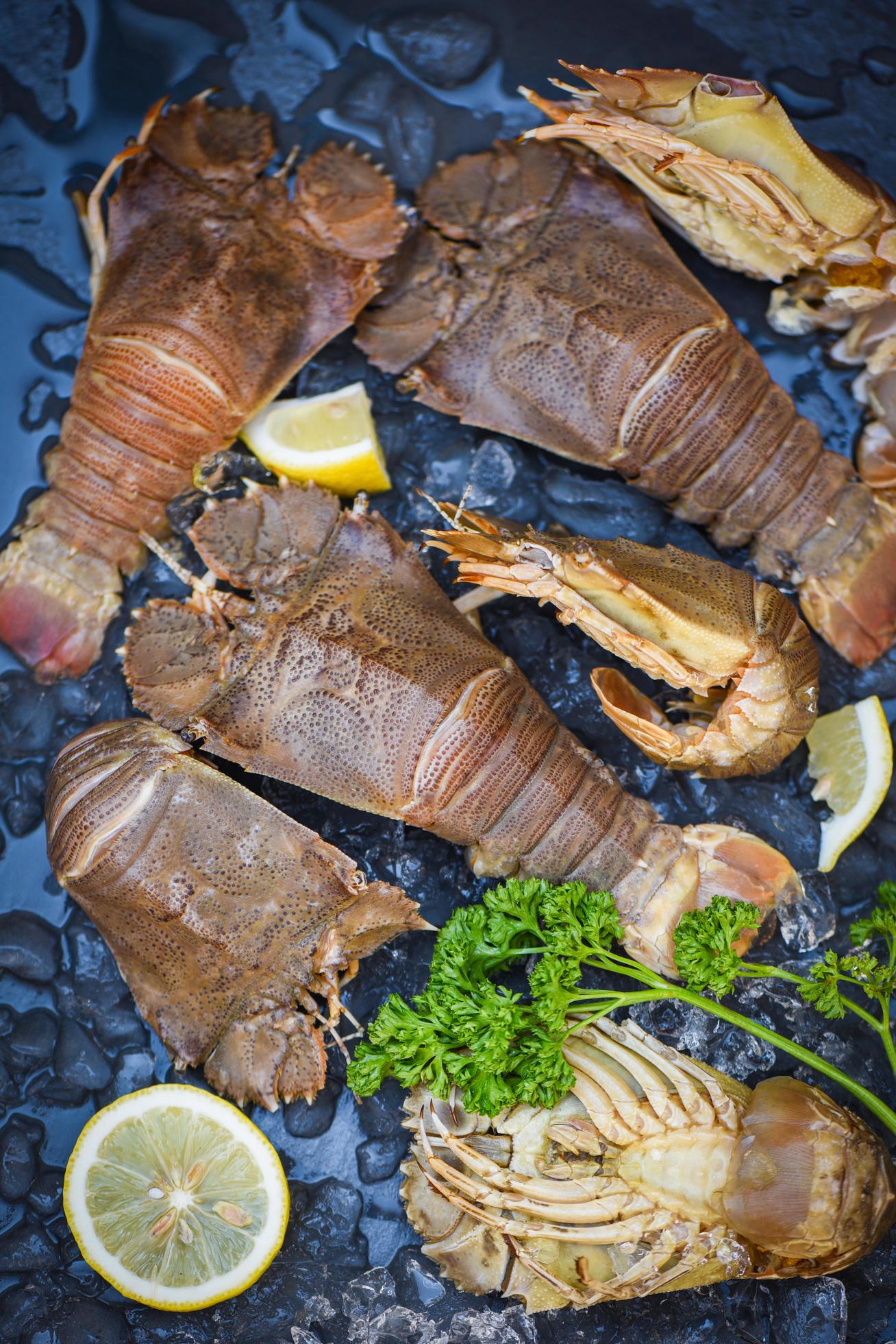 Слиппер Лобстер