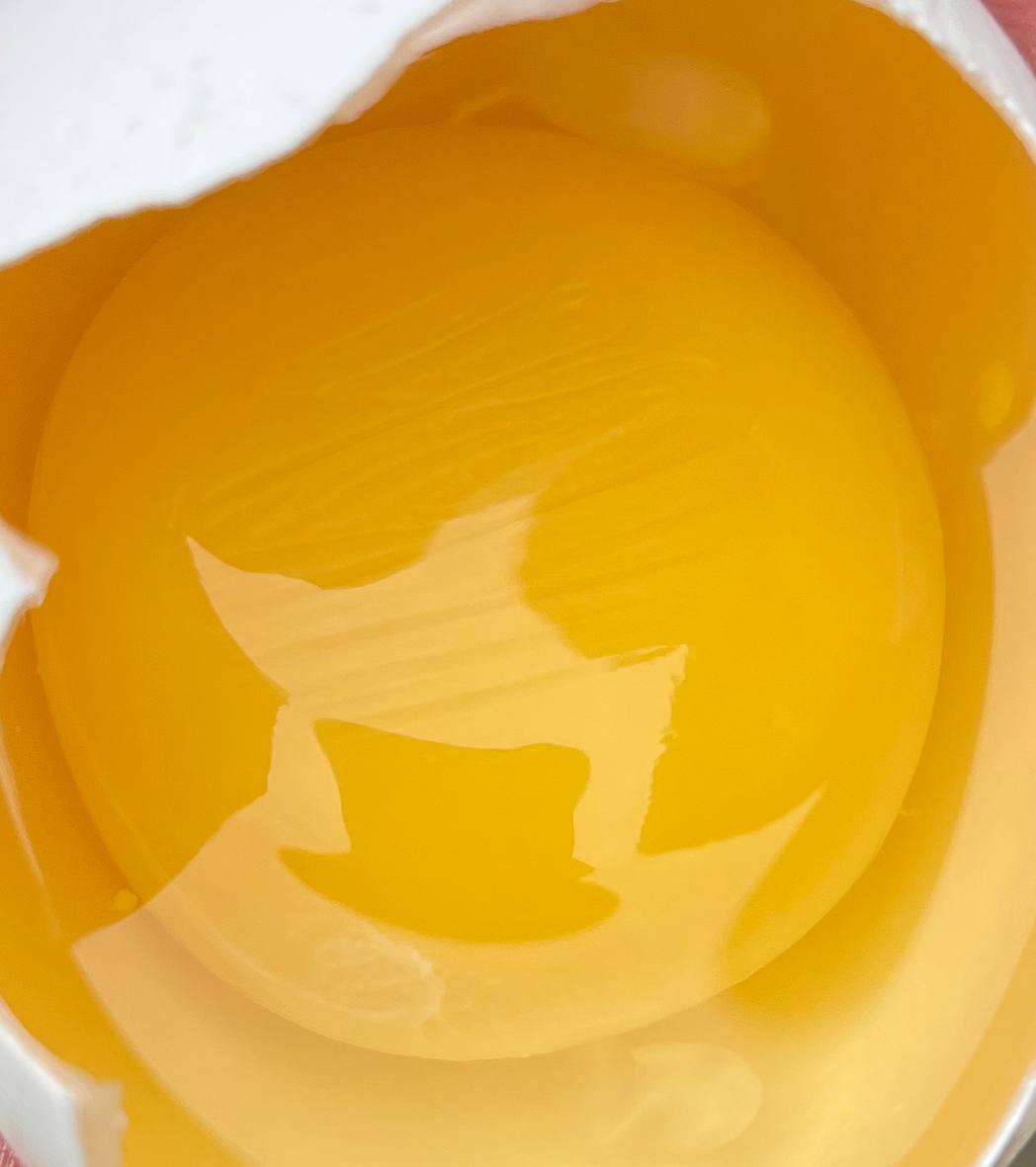 Куриное яйцо