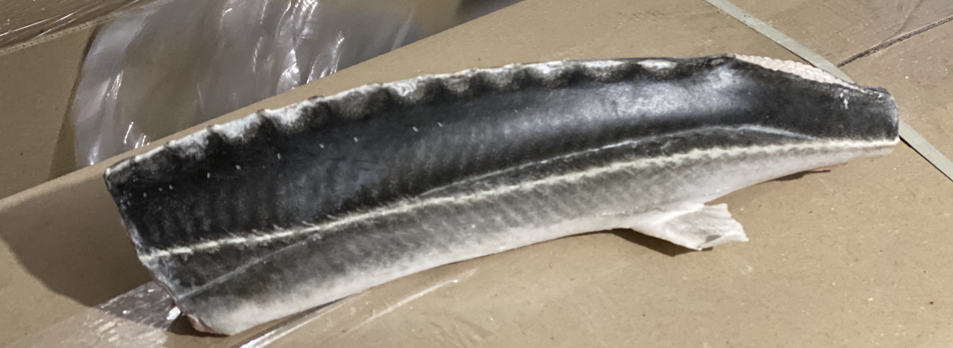 свежемороженый Осетр