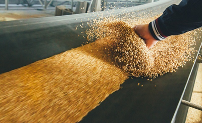 Пшеница 3 класса FOB Санкт-Петербург