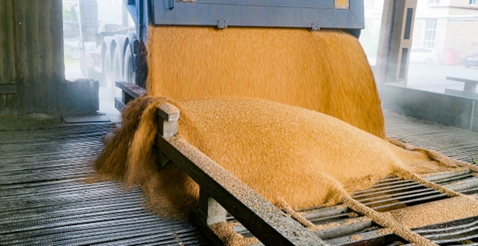 Пшеница 3 класса FOB Санкт-Петербург