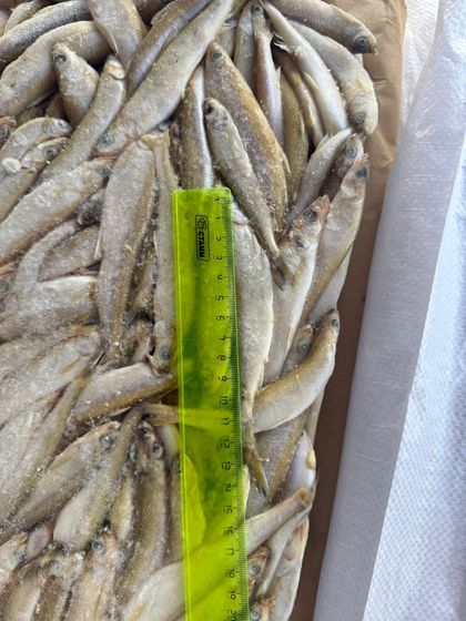 Корюшка НР малоротая