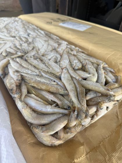 Корюшка НР малоротая