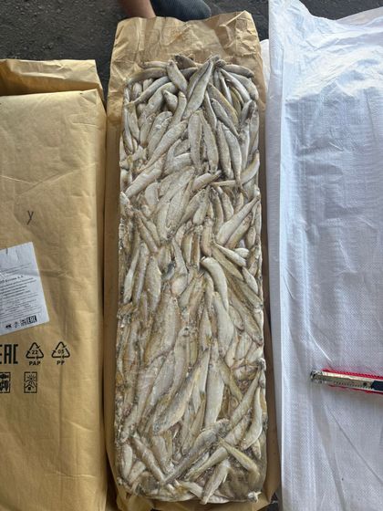 Корюшка НР малоротая