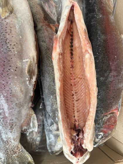 Форель ПСГ 1,5+