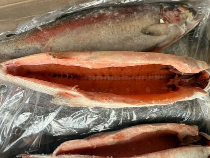 Форель ПСГ 2+