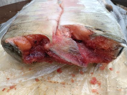 Кета ПБГ Николаевская