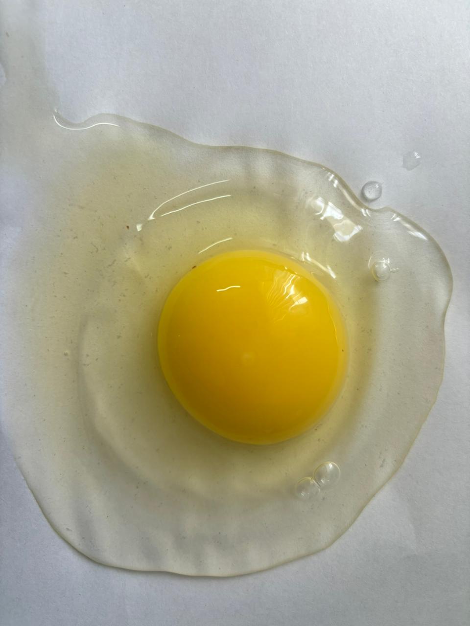 Яйцо столовое пищевое от производителя