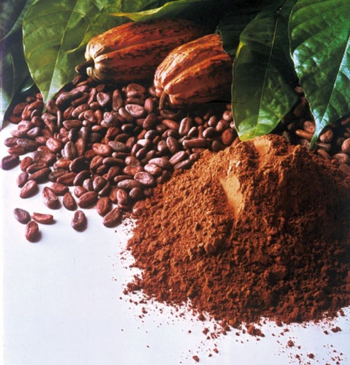 Какао-порошок алкализованный TH 560