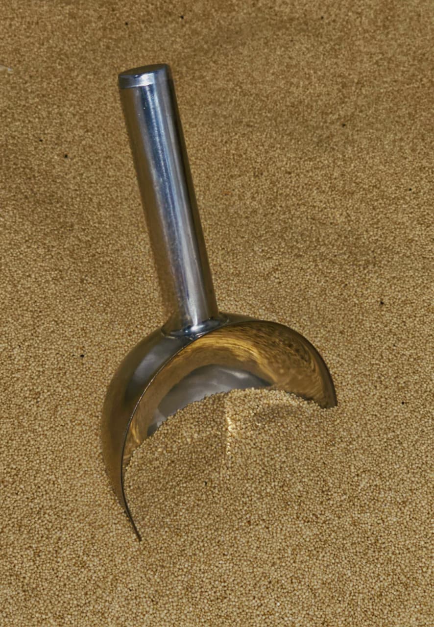 Семена и масло оптом