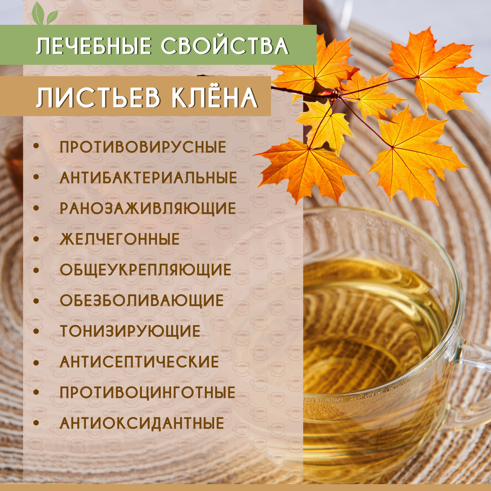 Кленовый для сосудов