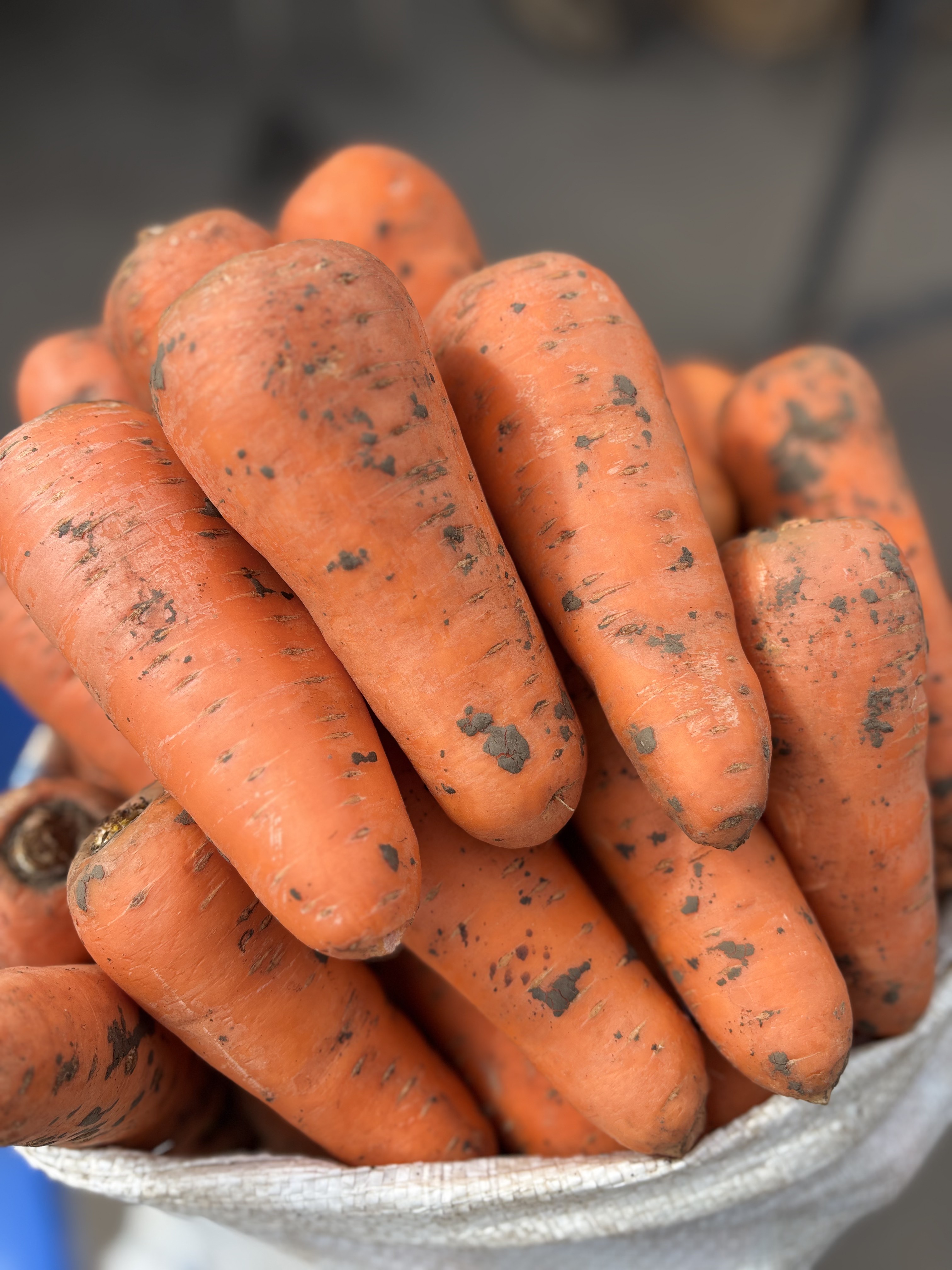 Морковь столовая оптом (ТТ-Агро)