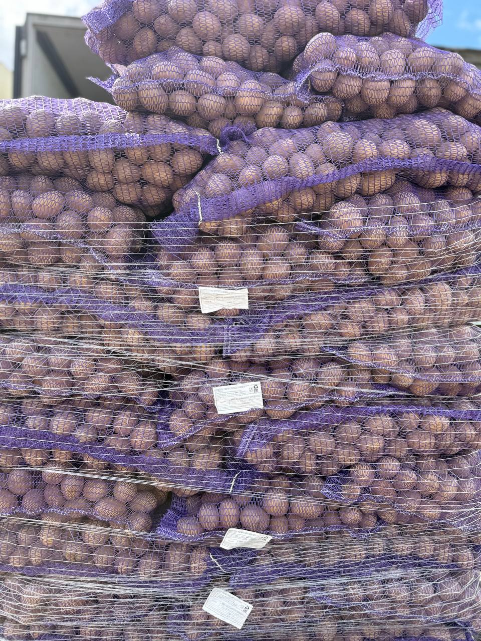 Картофель оптом от 1 тонны (Гала, Коломба, Ред Скарлетт)