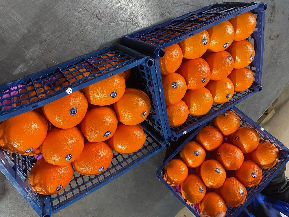 Иранские сладкие апельсины