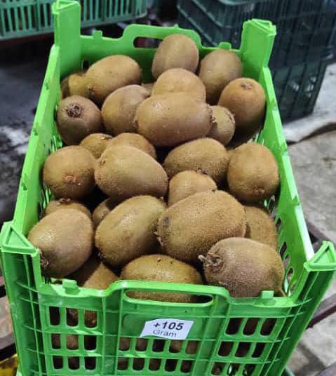 Киви премиум качества (Иран)