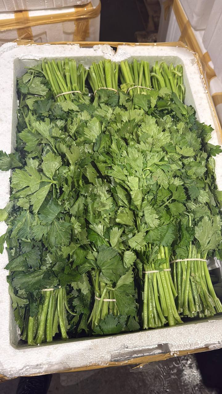 Свежая зелень оптом для HoReCa