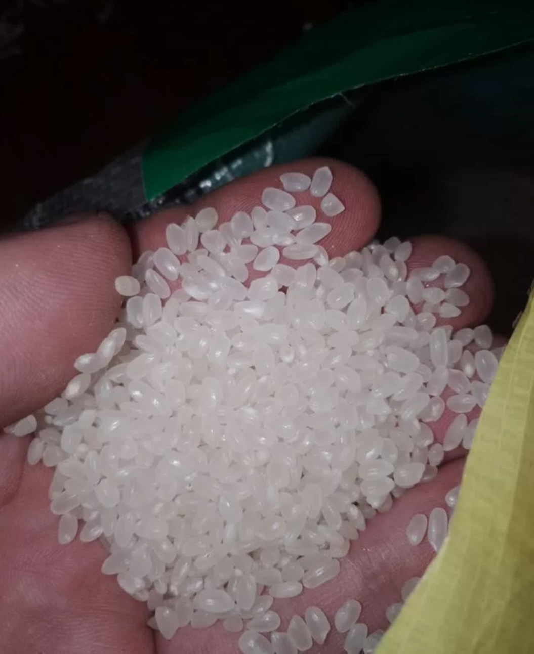 Приморский рис