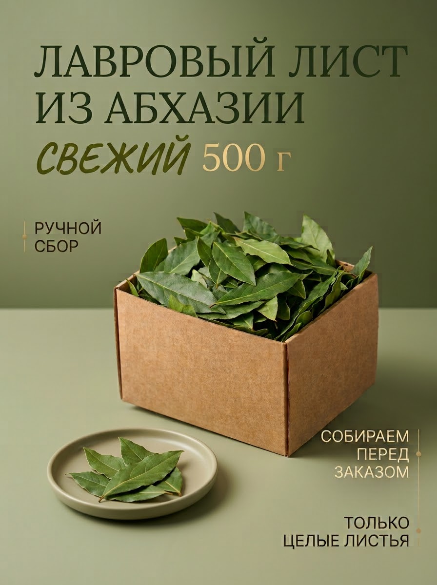 Лавровый лист свежий  отборный  из Абхазии- 500г