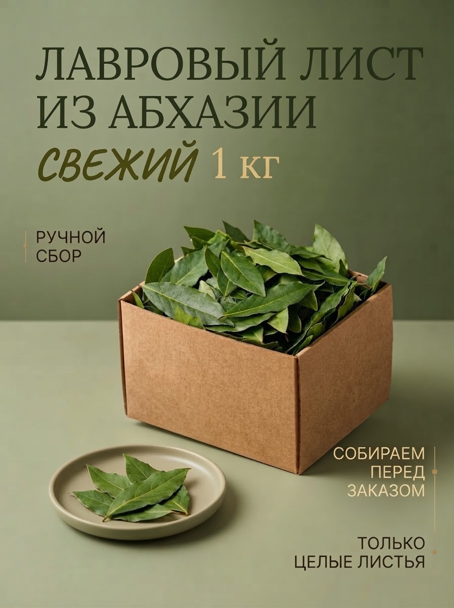 Лавровый лист свежий отборный  из Абхазии-1 кг