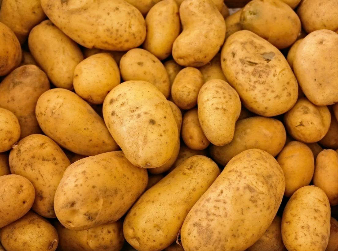 Продам картошку оптом