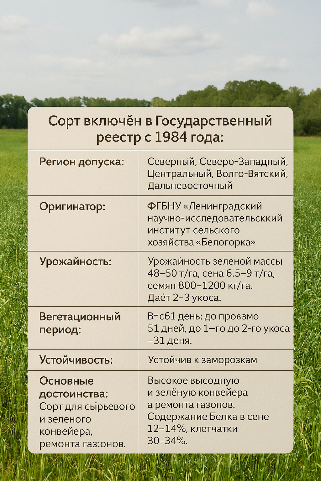 РАЙГРАС ОДНОЛЕТНИЙ 